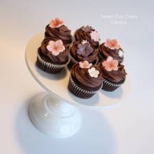 Chocolate cupcakes