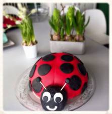 LADY BUG